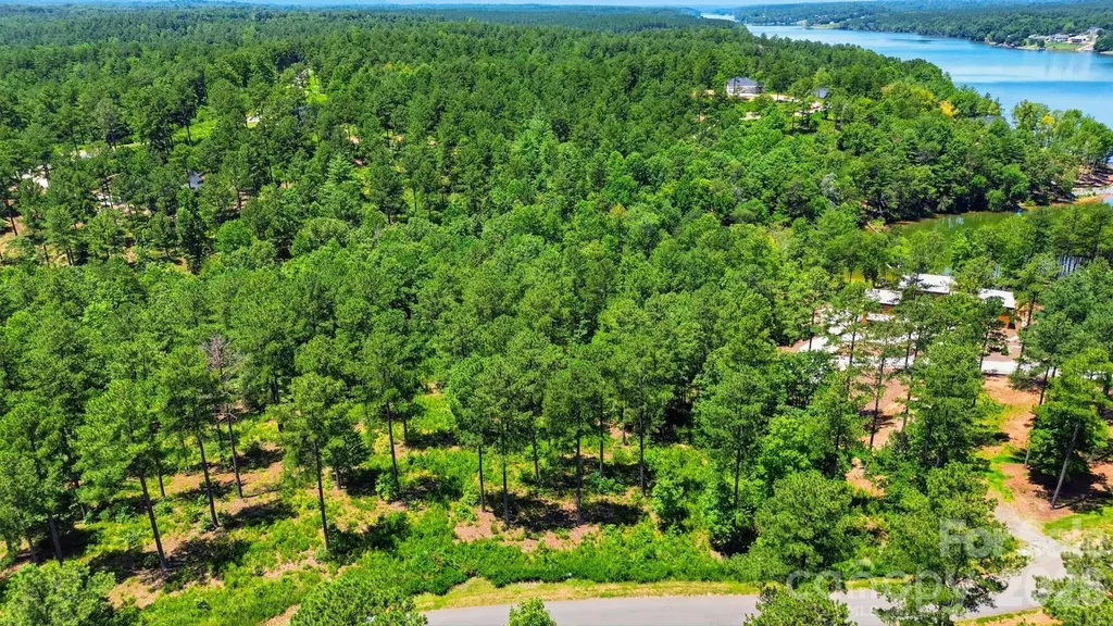 2071 Ellingwood Point Connelly Springs NC 28612