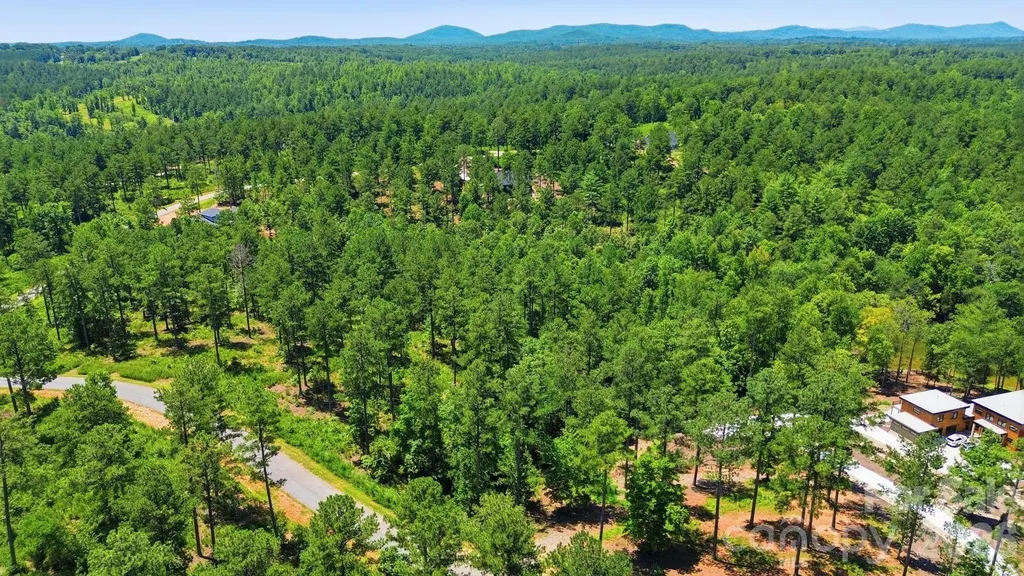 2071 Ellingwood Point Connelly Springs NC 28612