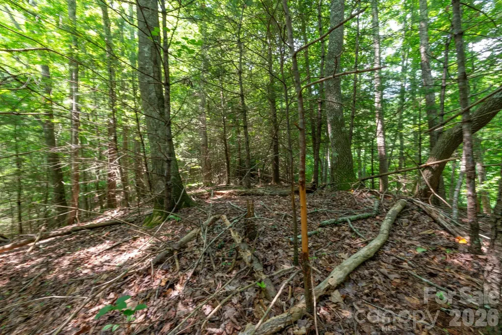 ### Board Tree Road Marshall NC 28753