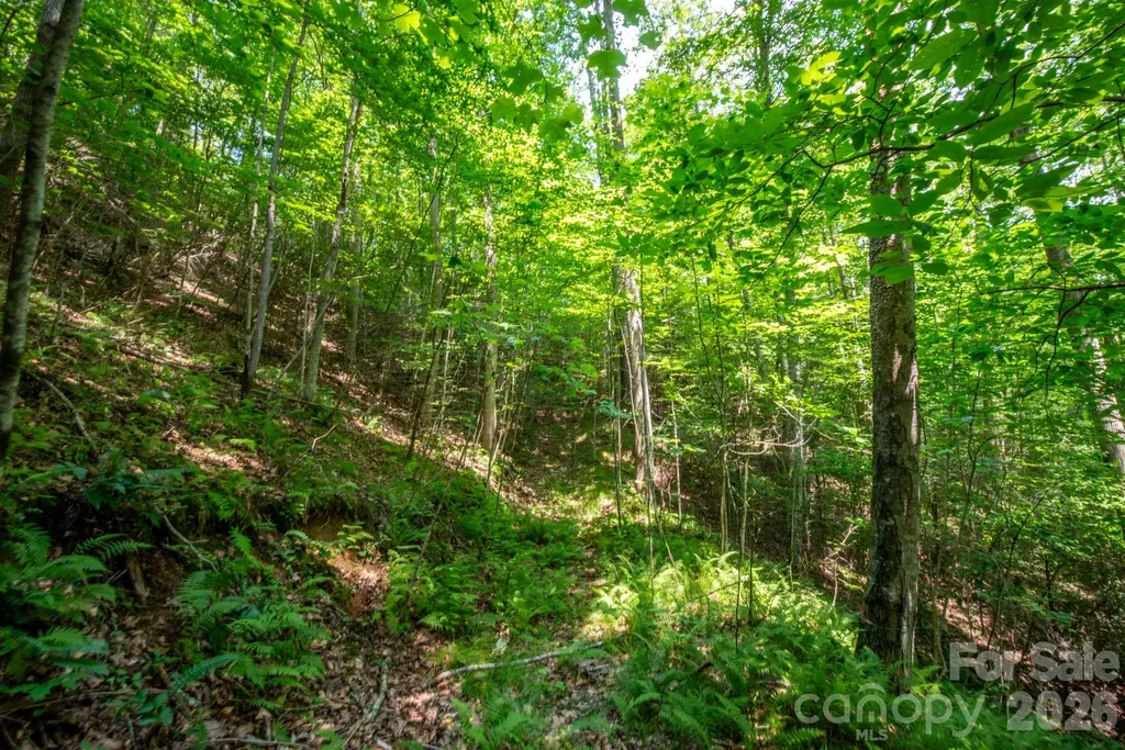 ### Board Tree Road Marshall NC 28753