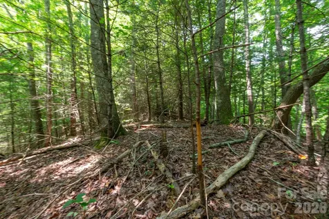 ### Board Tree Road Marshall NC 28753