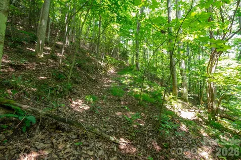 ### Board Tree Road Marshall NC 28753