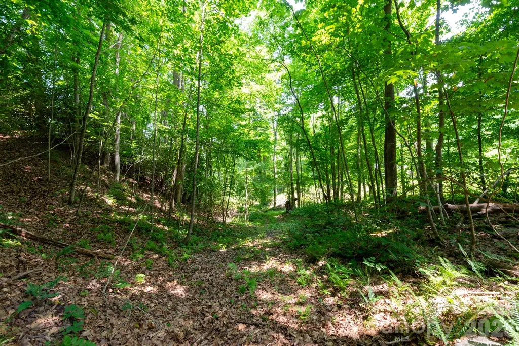 ### Board Tree Road Marshall NC 28753