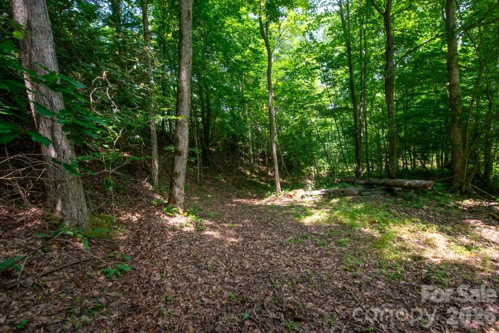 ### Board Tree Road Marshall NC 28753