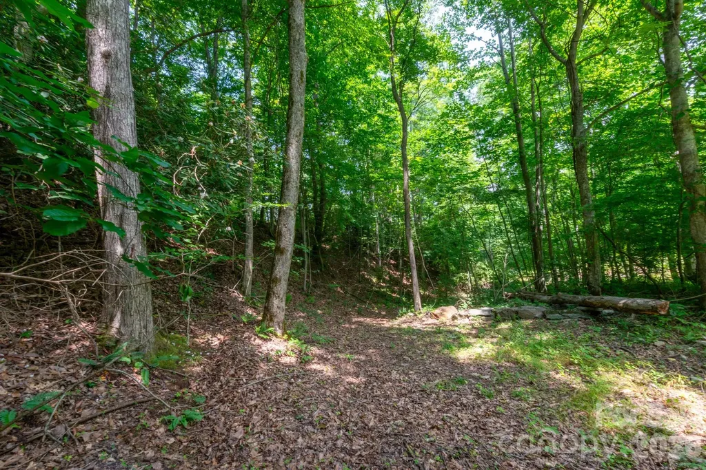 ### Board Tree Road Marshall NC 28753