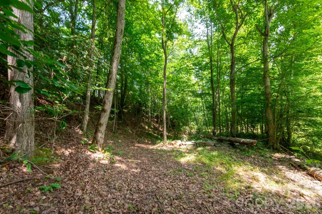 ### Board Tree Road Marshall NC 28753