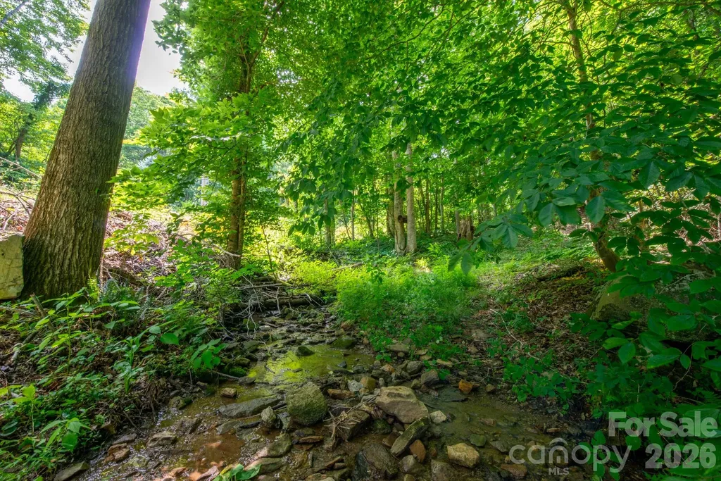 ### Board Tree Road Marshall NC 28753