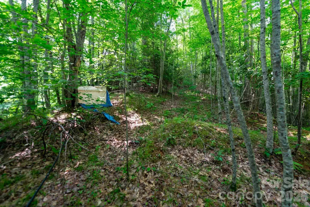 ### Board Tree Road Marshall NC 28753