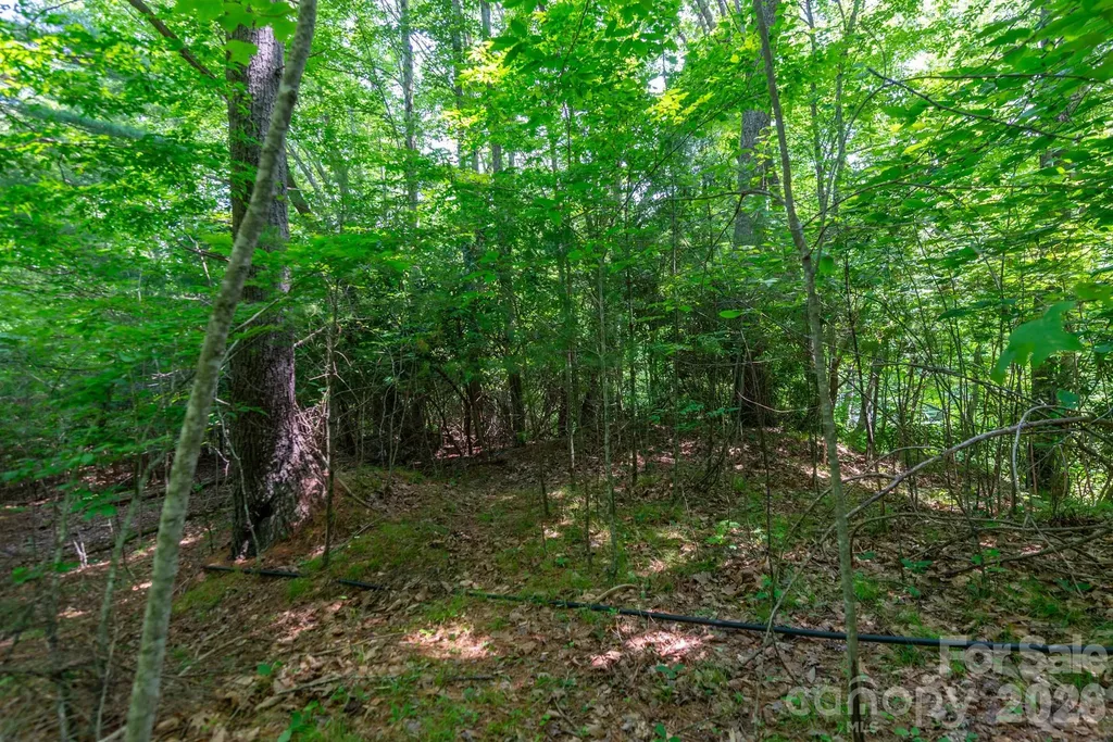 ### Board Tree Road Marshall NC 28753