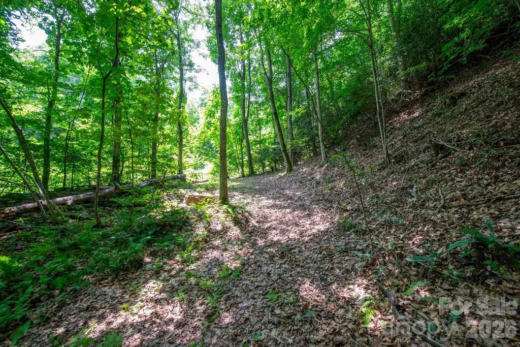 ### Board Tree Road Marshall NC 28753