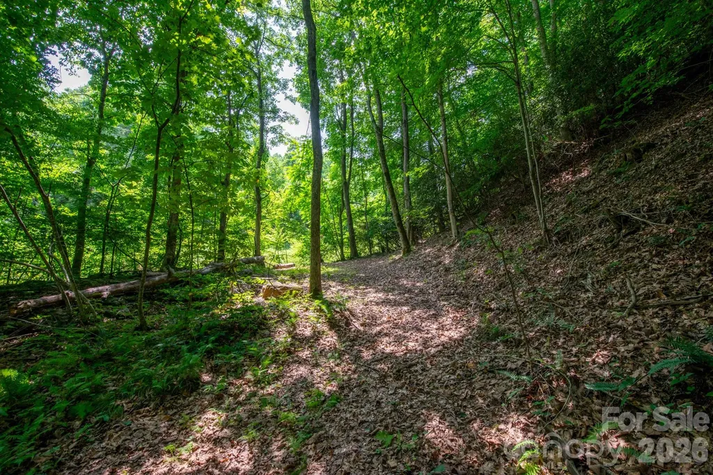 ### Board Tree Road Marshall NC 28753