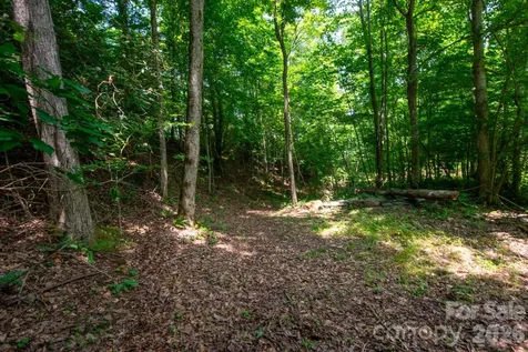 ### Board Tree Road Marshall NC 28753