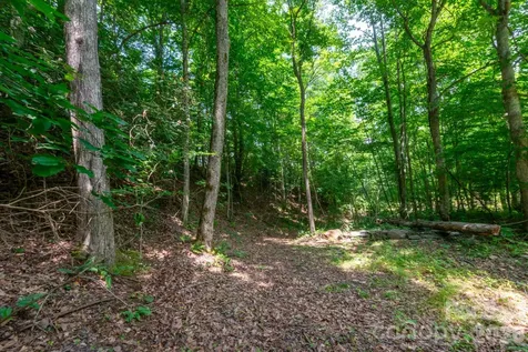 ### Board Tree Road Marshall NC 28753