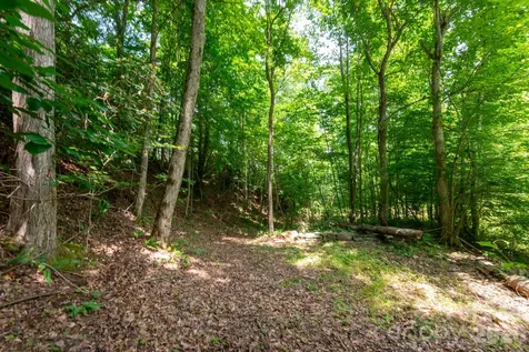 ### Board Tree Road Marshall NC 28753