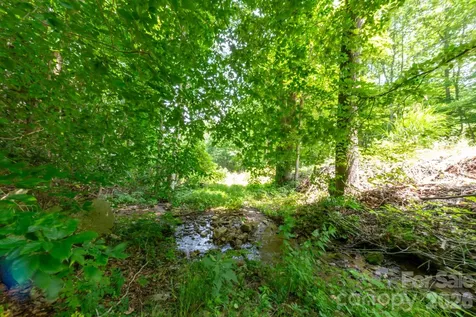 ### Board Tree Road Marshall NC 28753