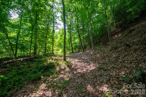 ### Board Tree Road Marshall NC 28753