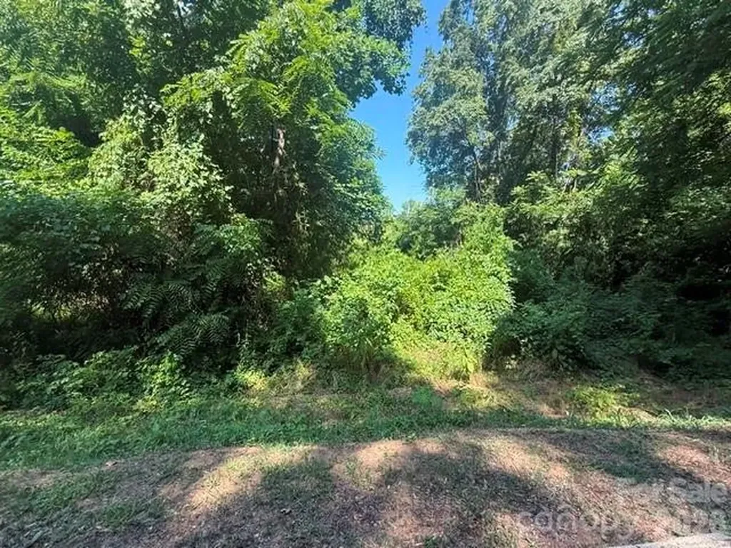 0 Hillside Drive Kings Mountain NC 28086