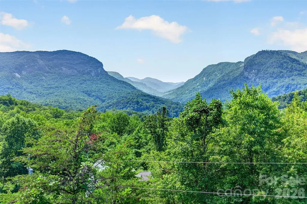 227 Sidney Lanier Drive Lake Lure NC 28746