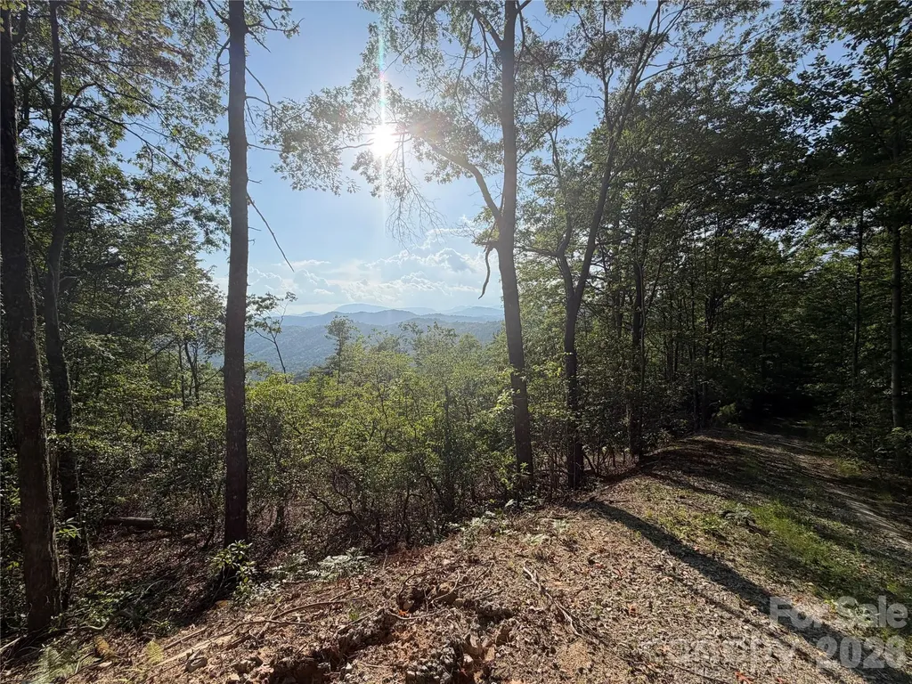 Off Old Toxaway Road Brevard NC 28712