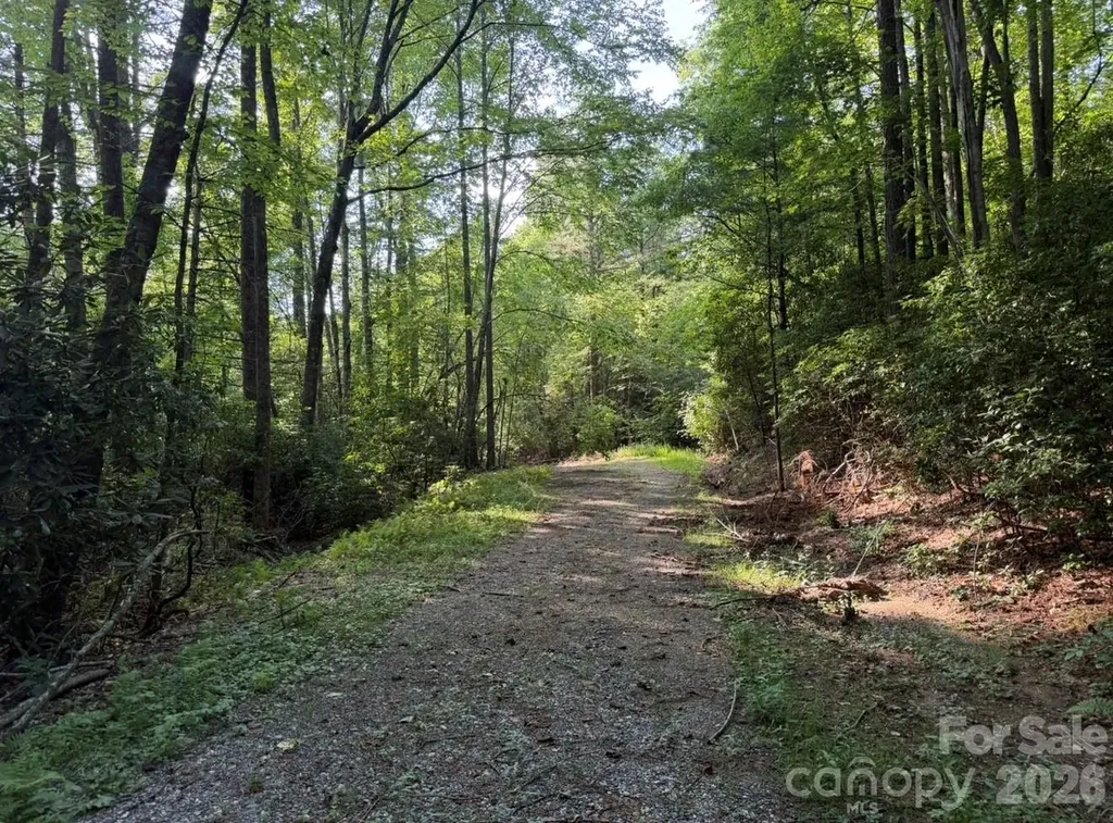 Off Old Toxaway Road Brevard NC 28712