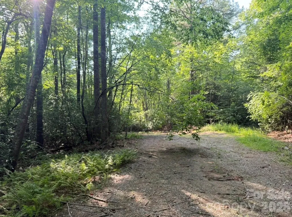 Off Old Toxaway Road Brevard NC 28712