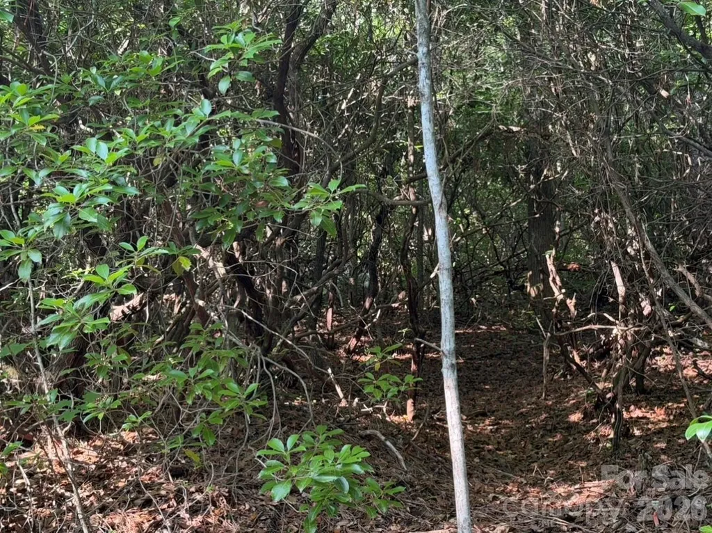 Off Old Toxaway Road Brevard NC 28712