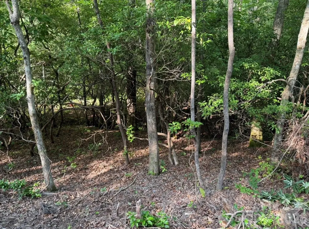 Off Old Toxaway Road Brevard NC 28712
