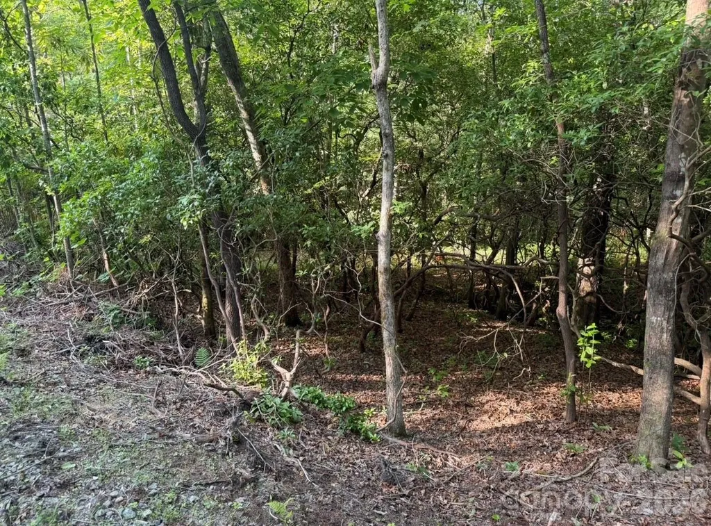 Off Old Toxaway Road Brevard NC 28712
