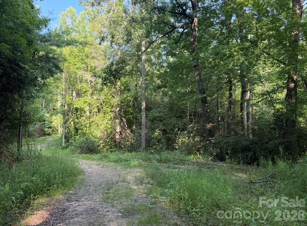 Off Old Toxaway Road Brevard NC 28712