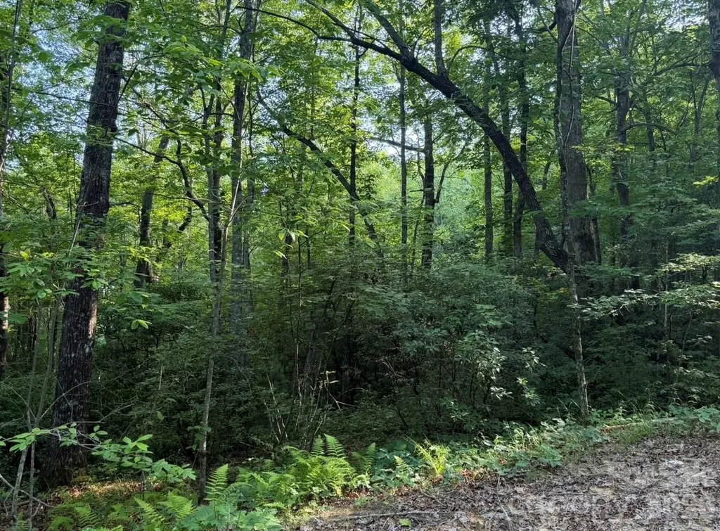 Off Old Toxaway Road Brevard NC 28712