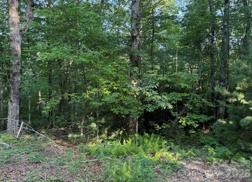 Off Old Toxaway Road Brevard NC 28712