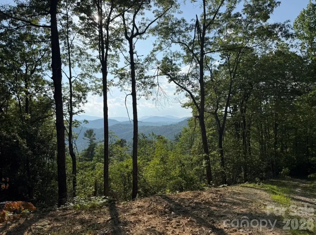 Off Old Toxaway Road Brevard NC 28712