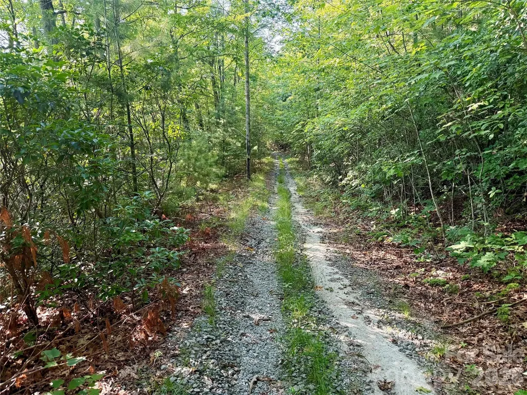 Off Old Toxaway Road Brevard NC 28712