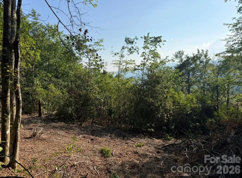 Off Old Toxaway Road Brevard NC 28712