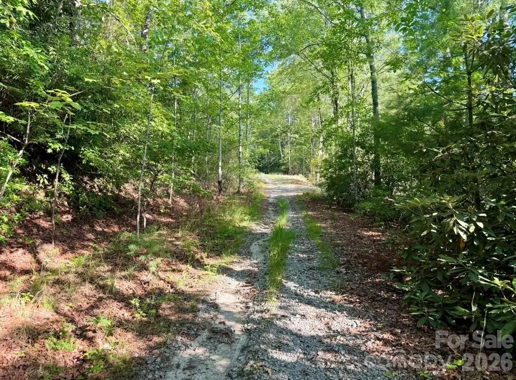 Off Old Toxaway Road Brevard NC 28712