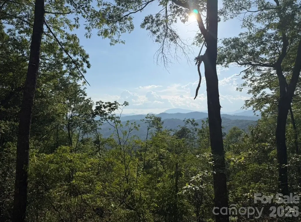 Off Old Toxaway Road Brevard NC 28712