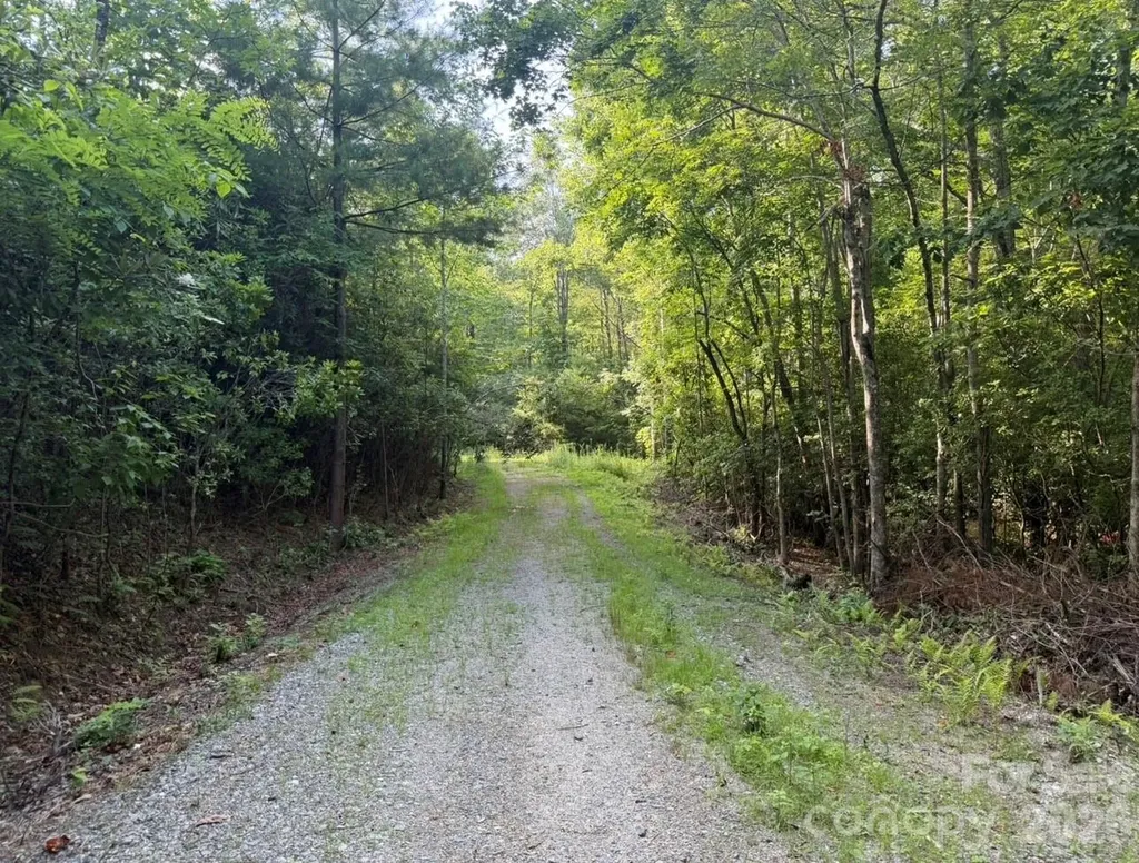 Off Old Toxaway Road Brevard NC 28712