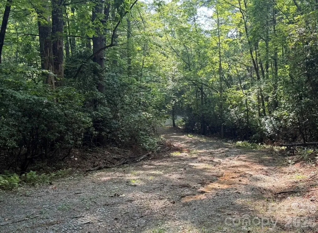 Off Old Toxaway Road Brevard NC 28712