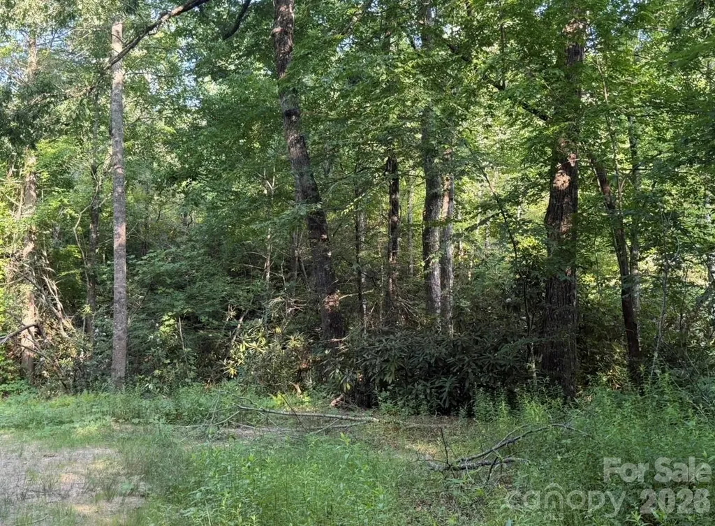Off Old Toxaway Road Brevard NC 28712