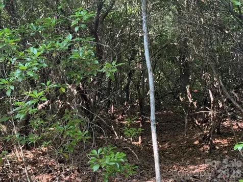 Off Old Toxaway Road Brevard NC 28712