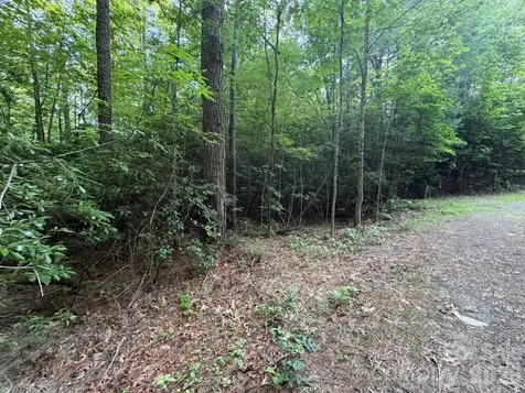 Off Old Toxaway Road Brevard NC 28712