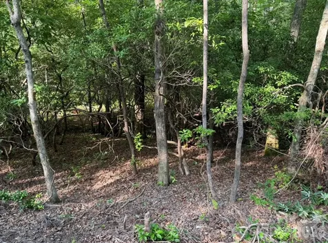 Off Old Toxaway Road Brevard NC 28712