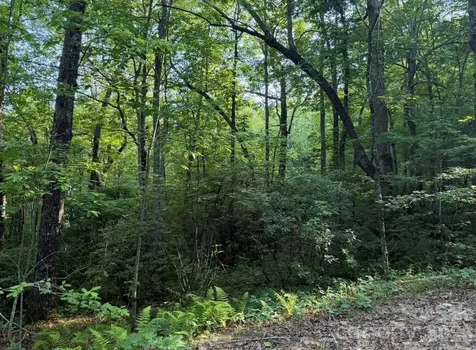 Off Old Toxaway Road Brevard NC 28712