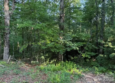 Off Old Toxaway Road Brevard NC 28712