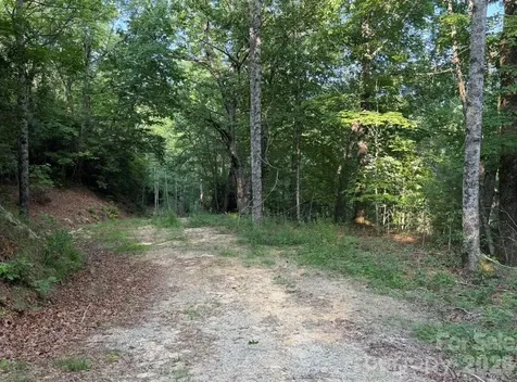 Off Old Toxaway Road Brevard NC 28712