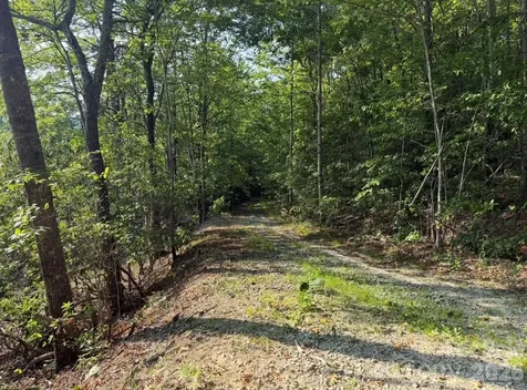 Off Old Toxaway Road Brevard NC 28712