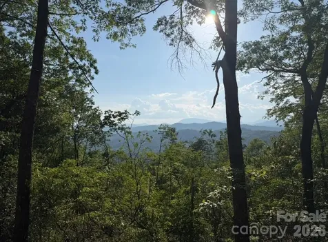 Off Old Toxaway Road Brevard NC 28712