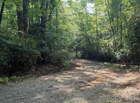 Off Old Toxaway Road Brevard NC 28712