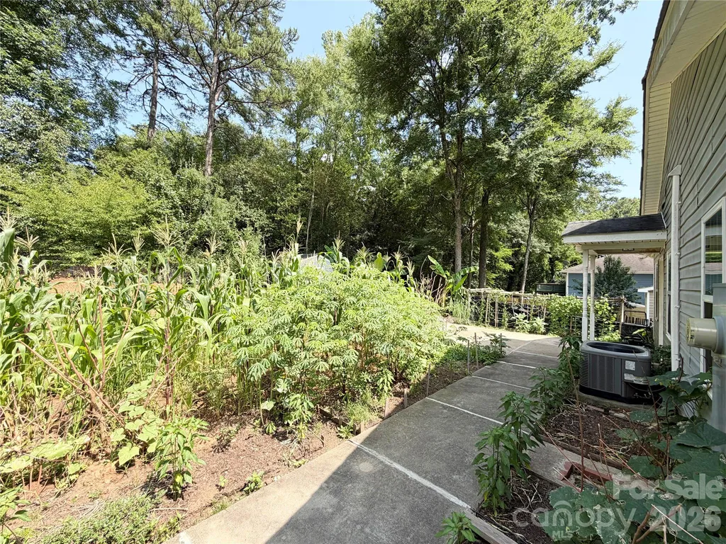 3125 Amay James Avenue Charlotte NC 28208