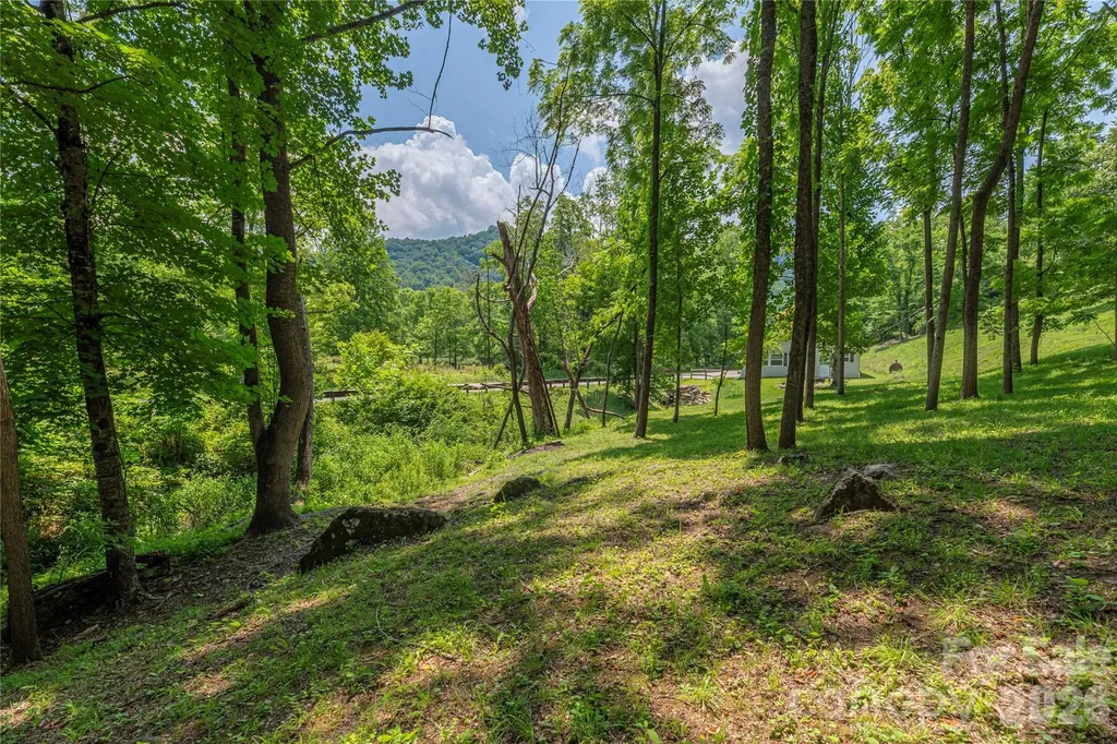 702 Love Joy Road Canton NC 28716